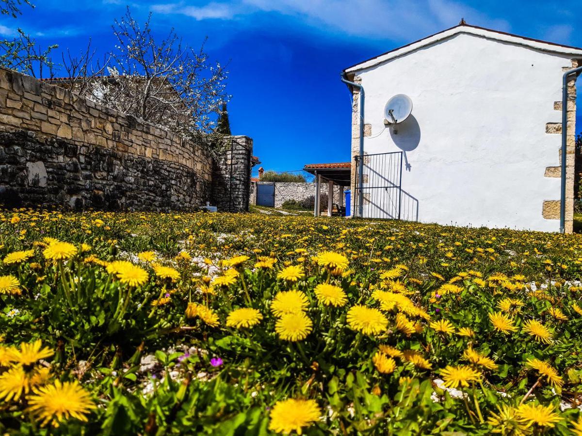 Villa Barbara Barban Dış mekan fotoğraf